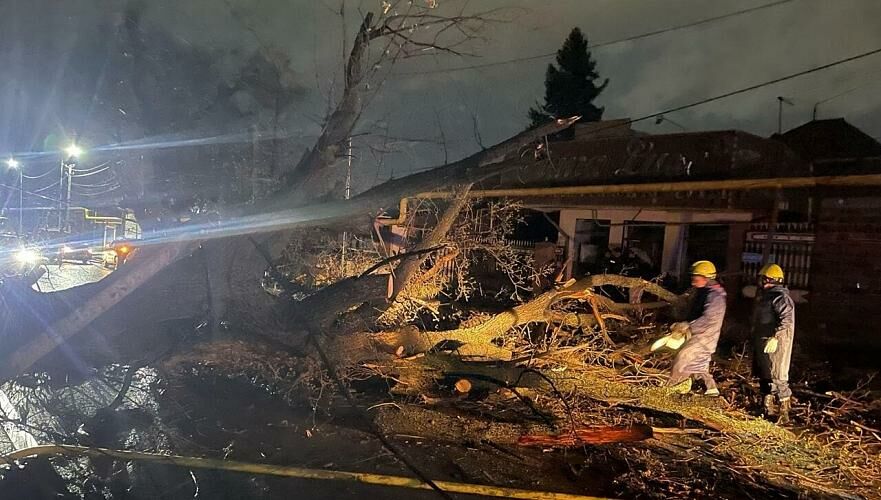 Последствия урагана в Алматы: Поваленные деревья, поврежденные кровли, закрылся ботсад