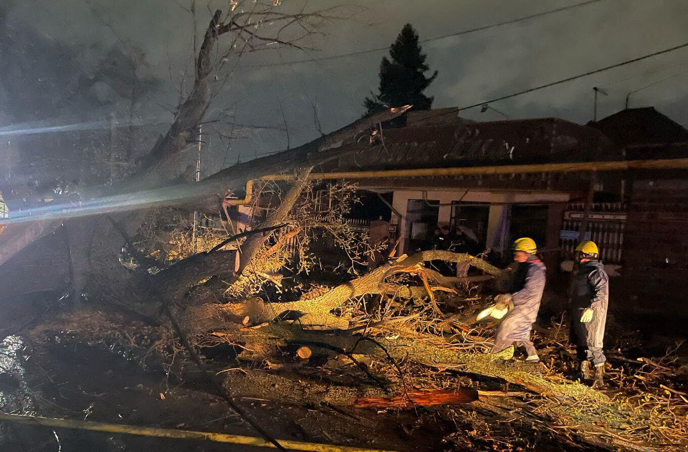 Проказы природы