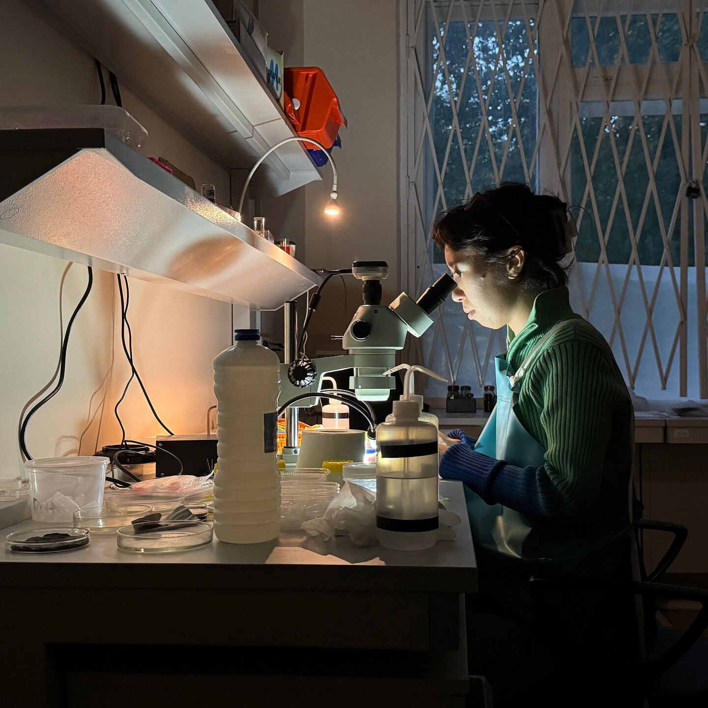 Радость от соприкосновения со слизнями