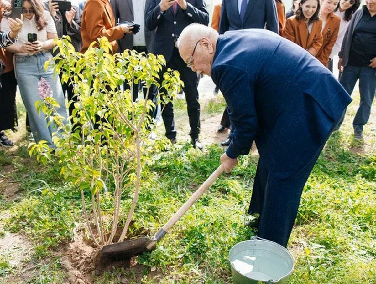 Саженец от мэтра