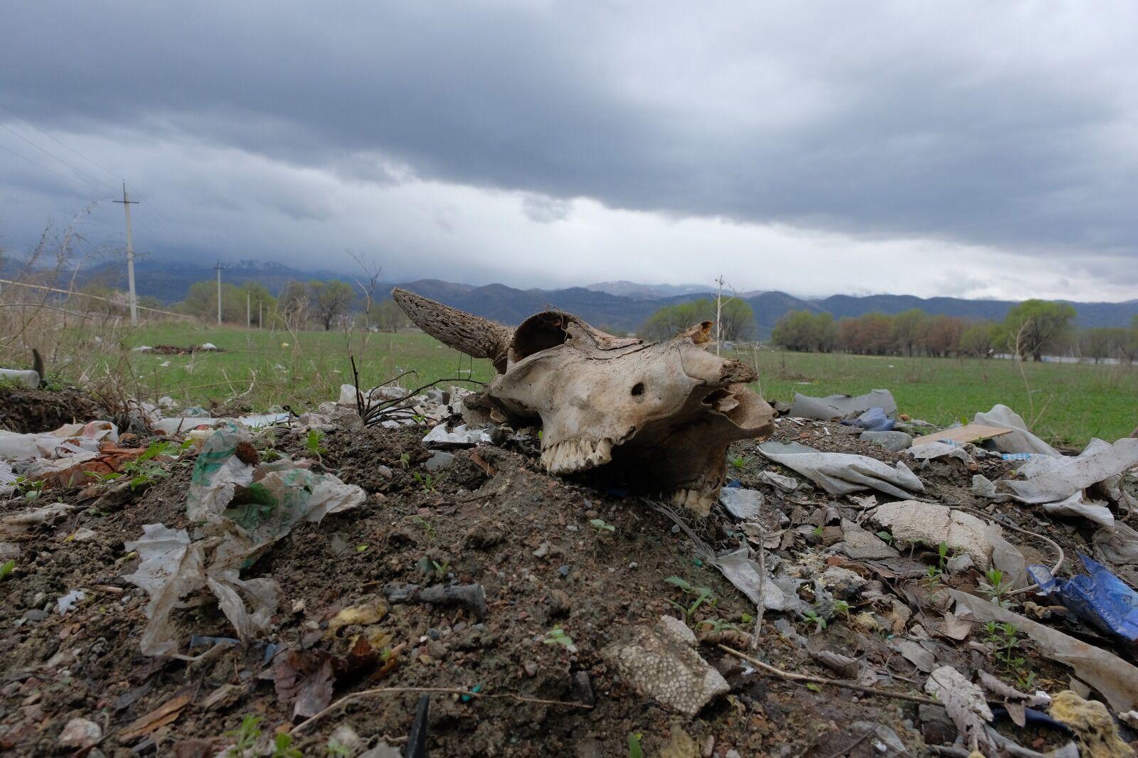 Язва не дремлет