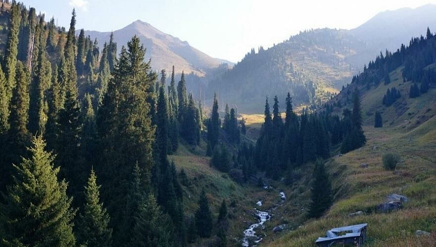Тело придавленной камнем девушки обнаружили в горах Алматы