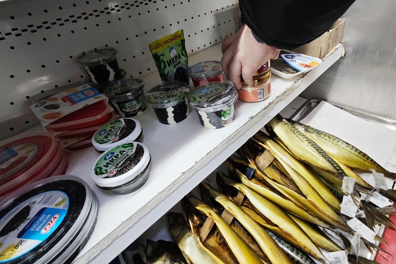 Ловись, рыбка!