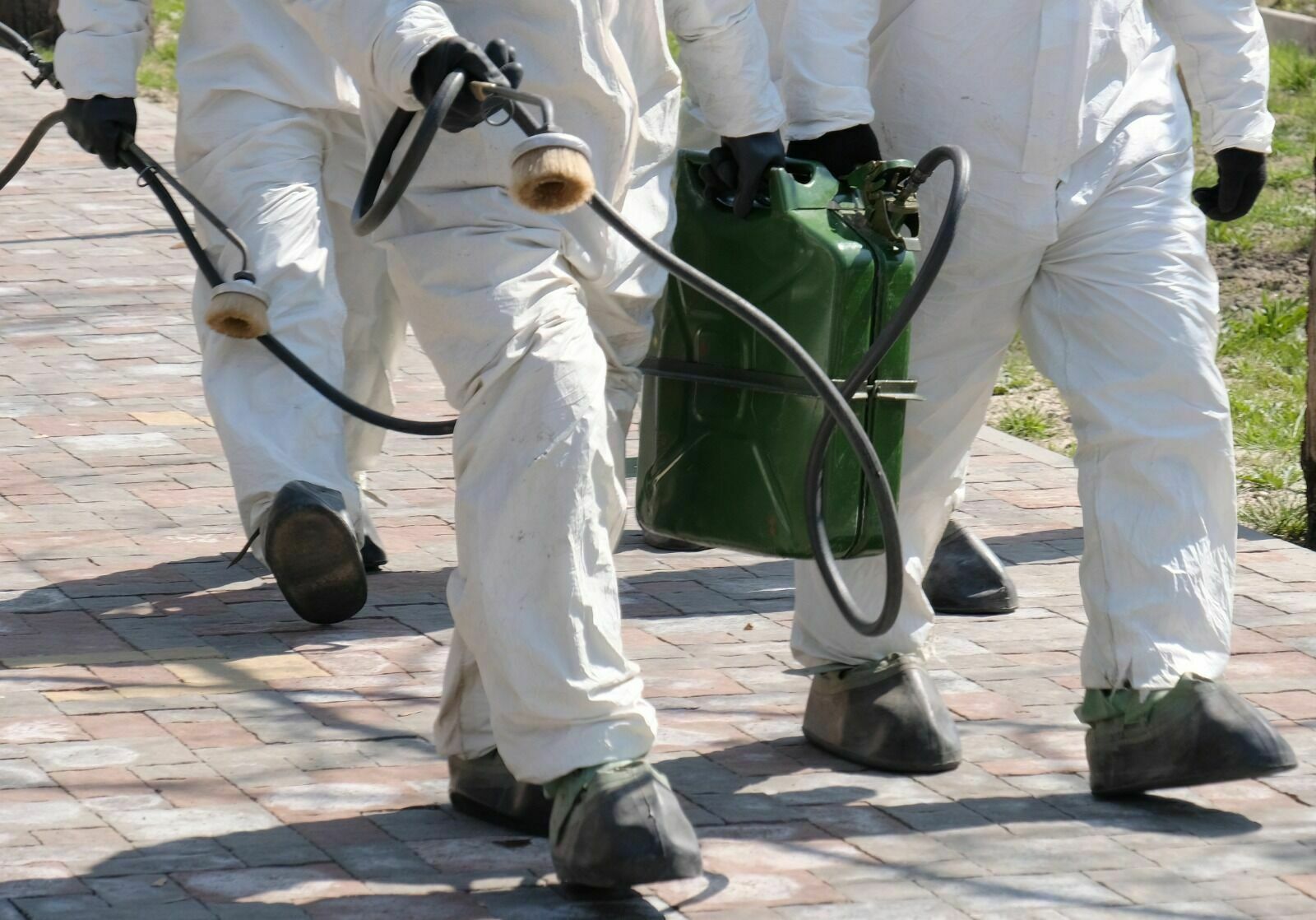 Масштабная обработка от комаров и мошек началась в Астане