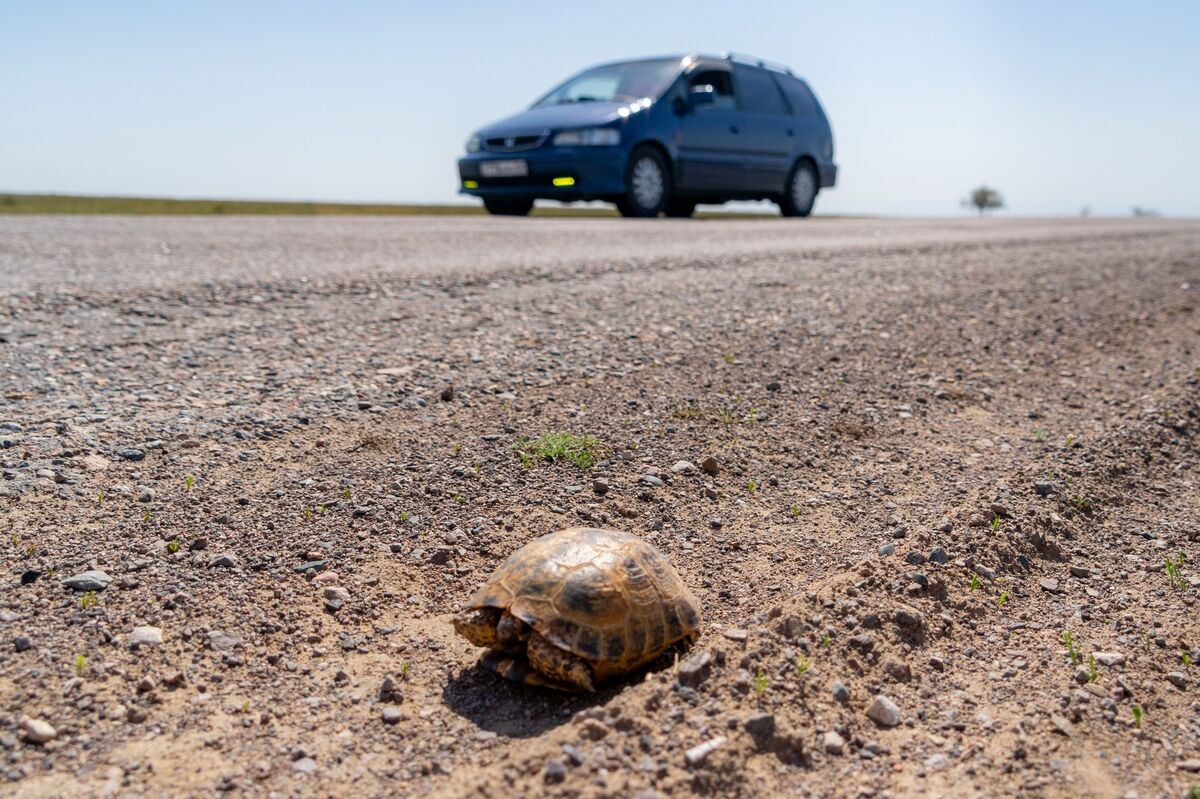 Спасение уползающих