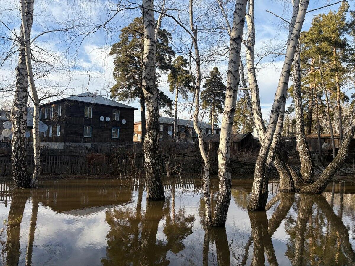 Благодарим  за активное участие!..