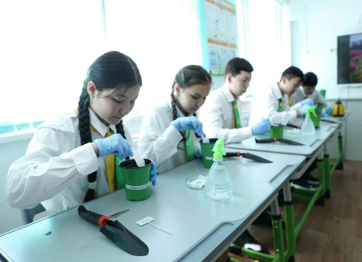 Зелёный мир