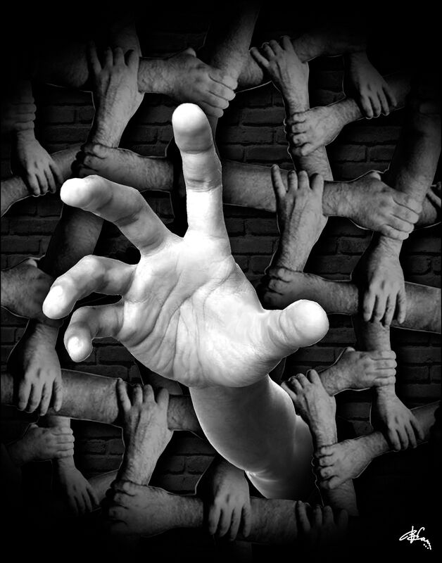 Правдивая и смелая дорогу перешла?