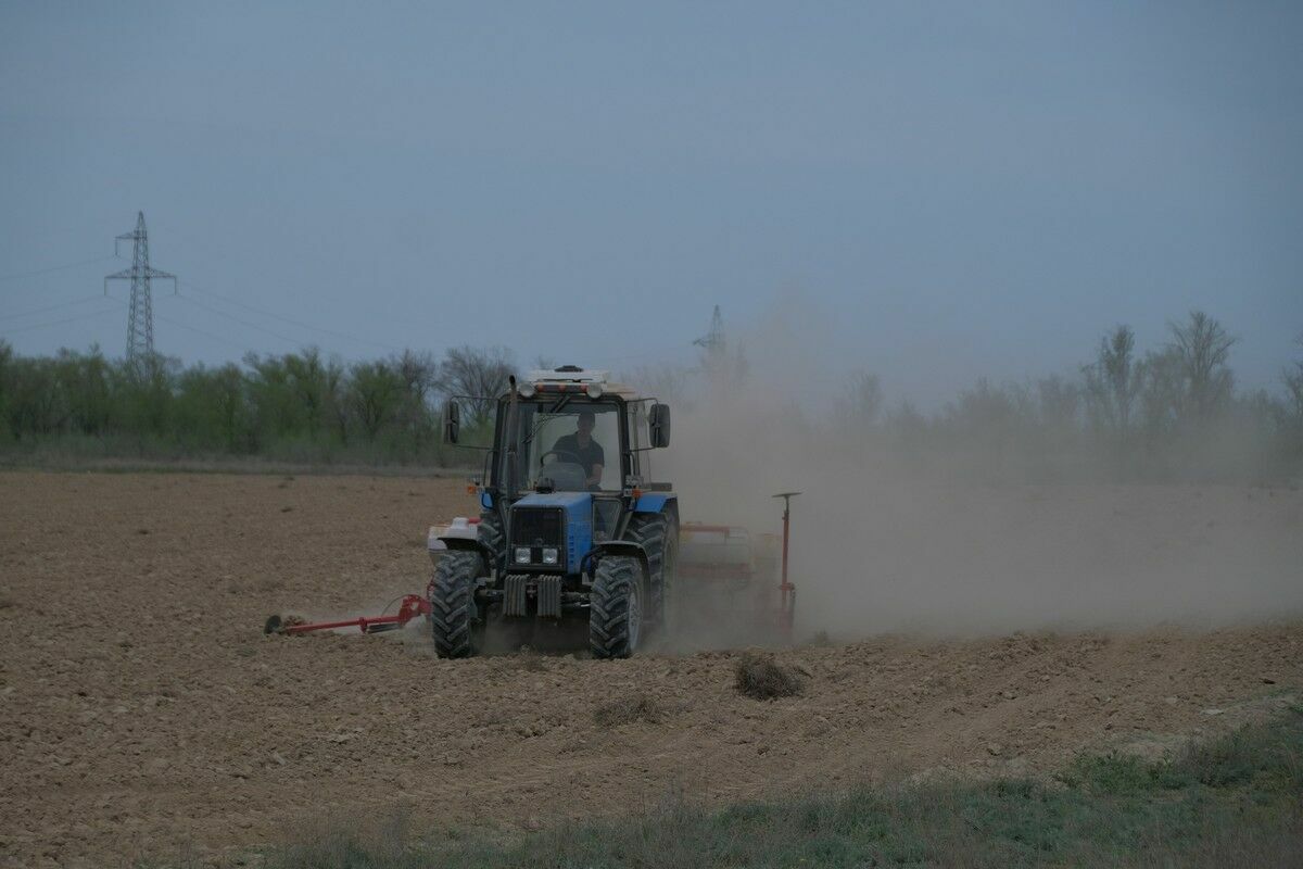 2,6 млн га засеяли в Акмолинской области