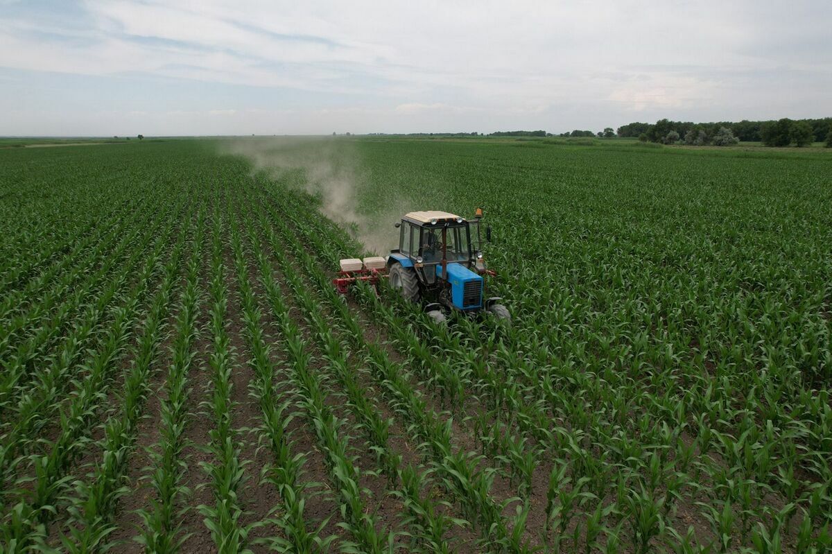 Неосвоенные сельхозземли вернули в госсобственность в Актюбинской области