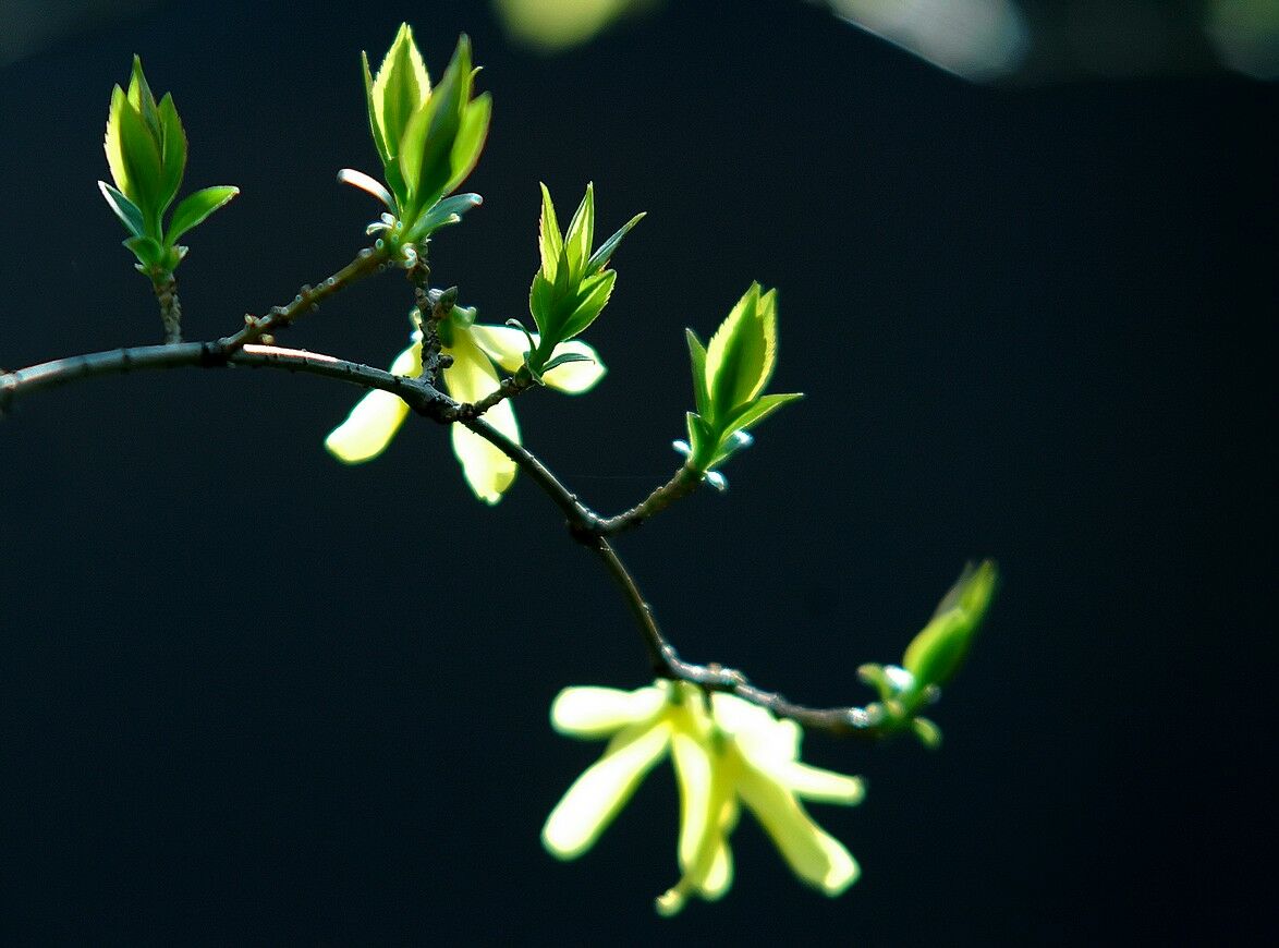 Погода без осадков ожидается во вторник в ряде регионов Казахстана