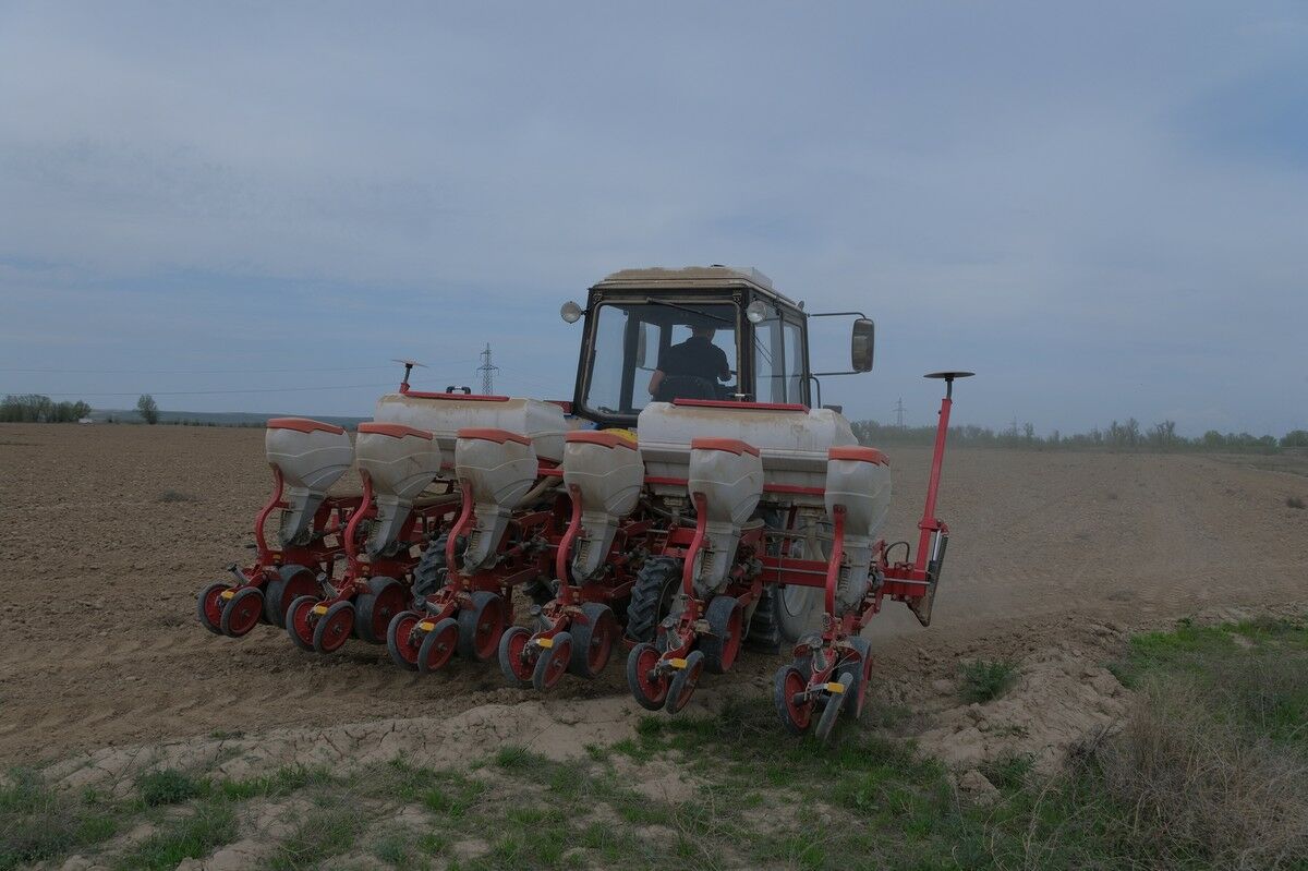 Юг задаёт темп