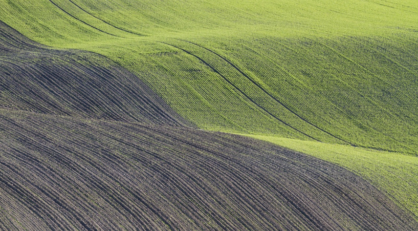 Более 7,3 млн га сельхозугодий засеяно в Казахстане