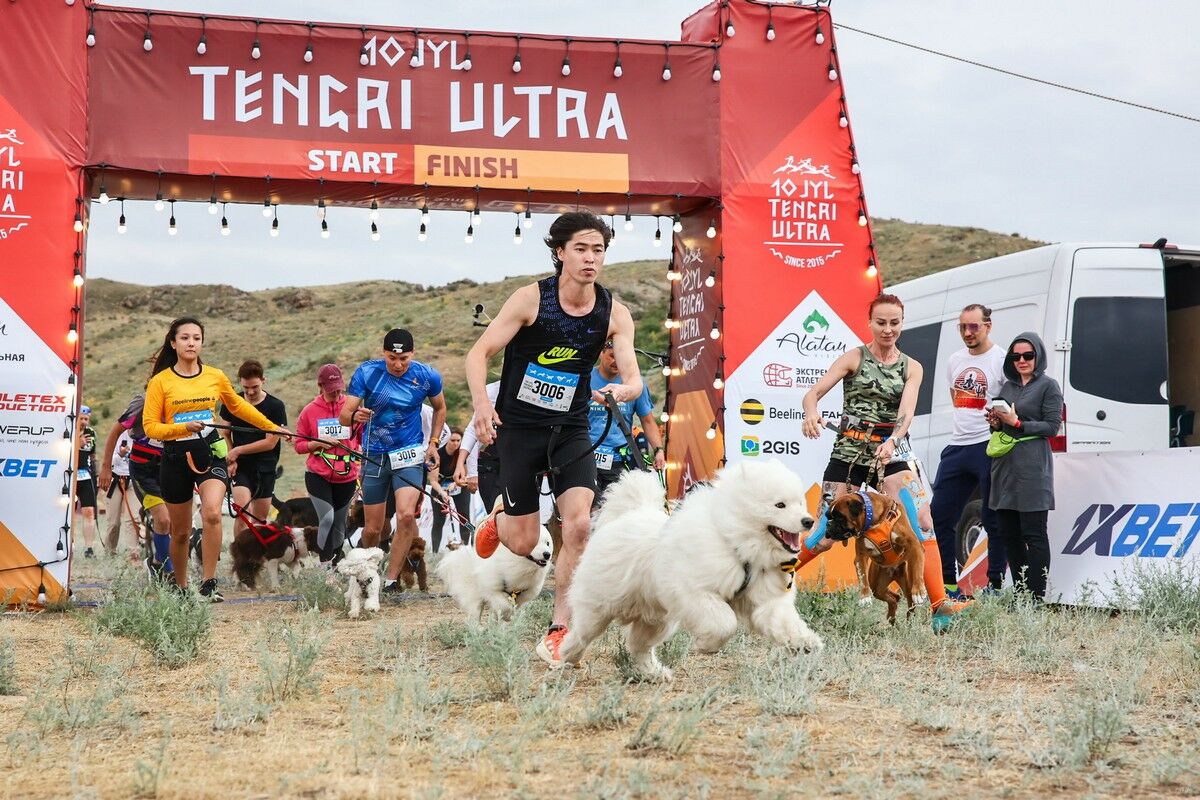 Полынь, шаманы, юбилей