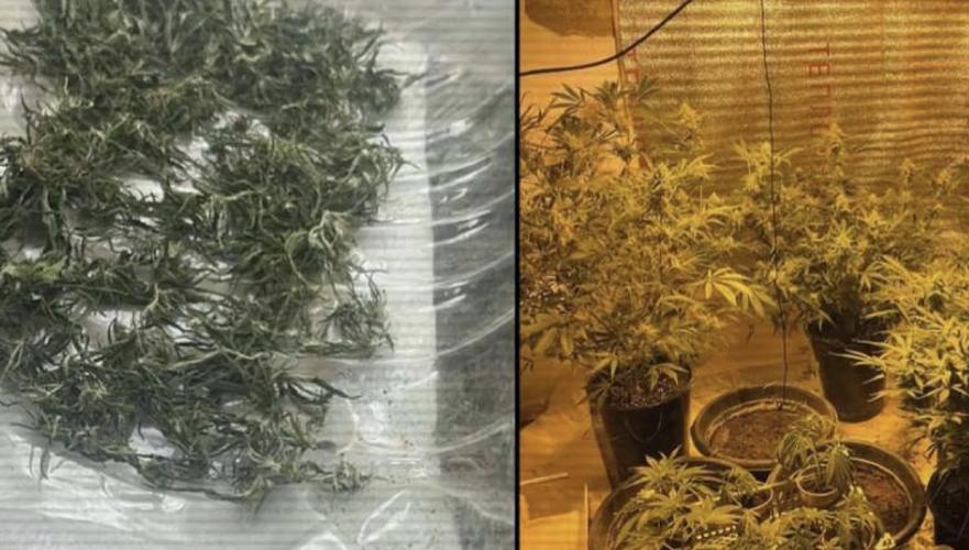 Фитолабораторию выявили в одном из домов в Кызылординской области