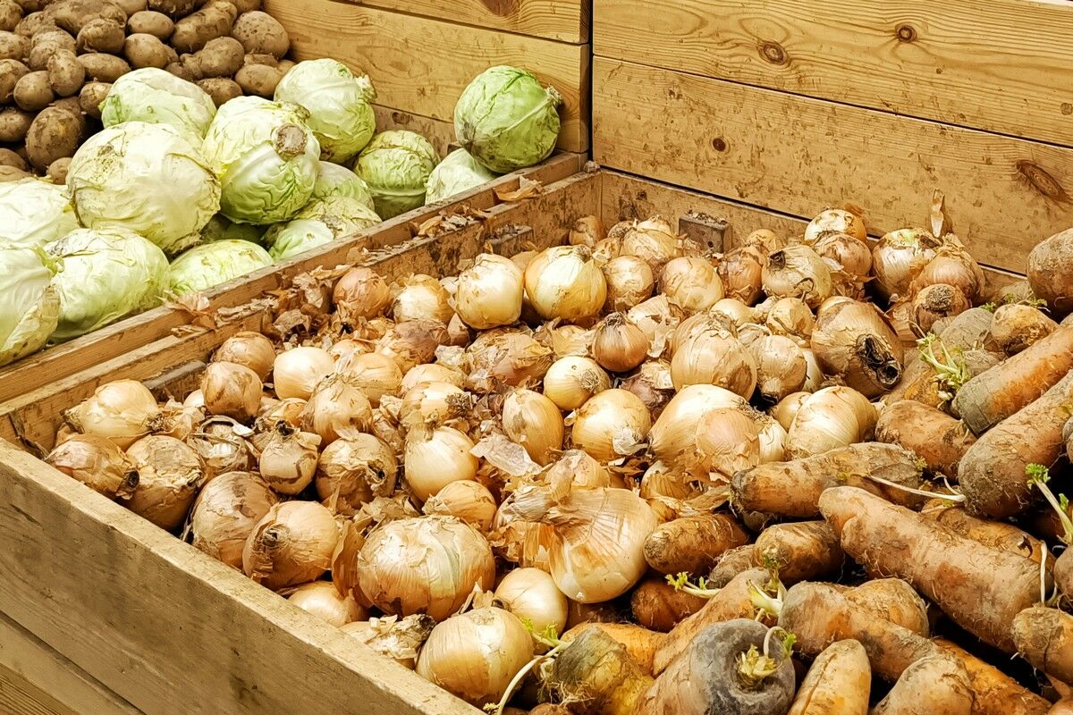 Что имеем - не храним