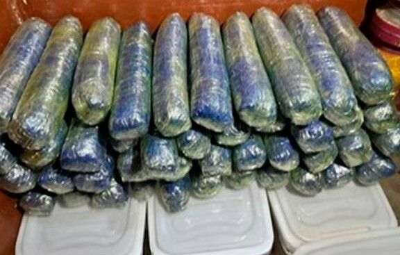 Канал контрабанды наркотиков в Восточную Азию ликвидировали в Казахстане