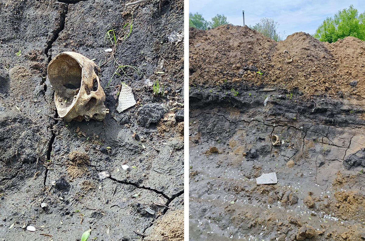 Кости  из прошлого