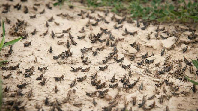 Ну кто так травит?