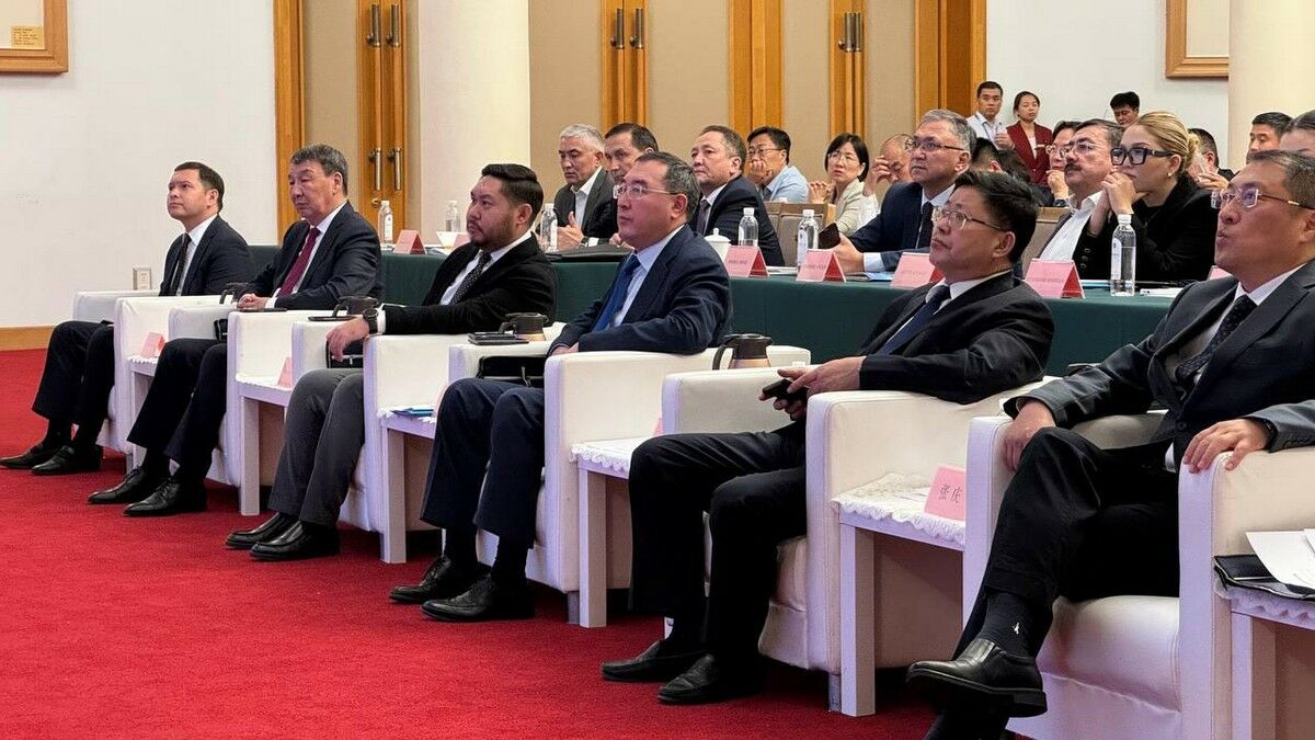 Инвесторы из Поднебесной