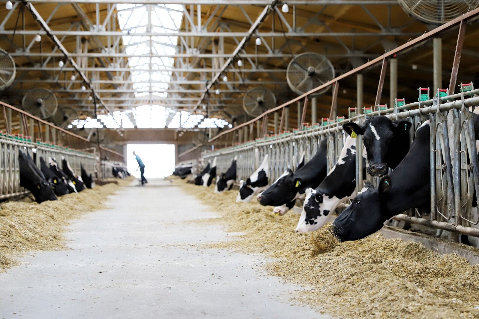 Крестьяне просят добавки