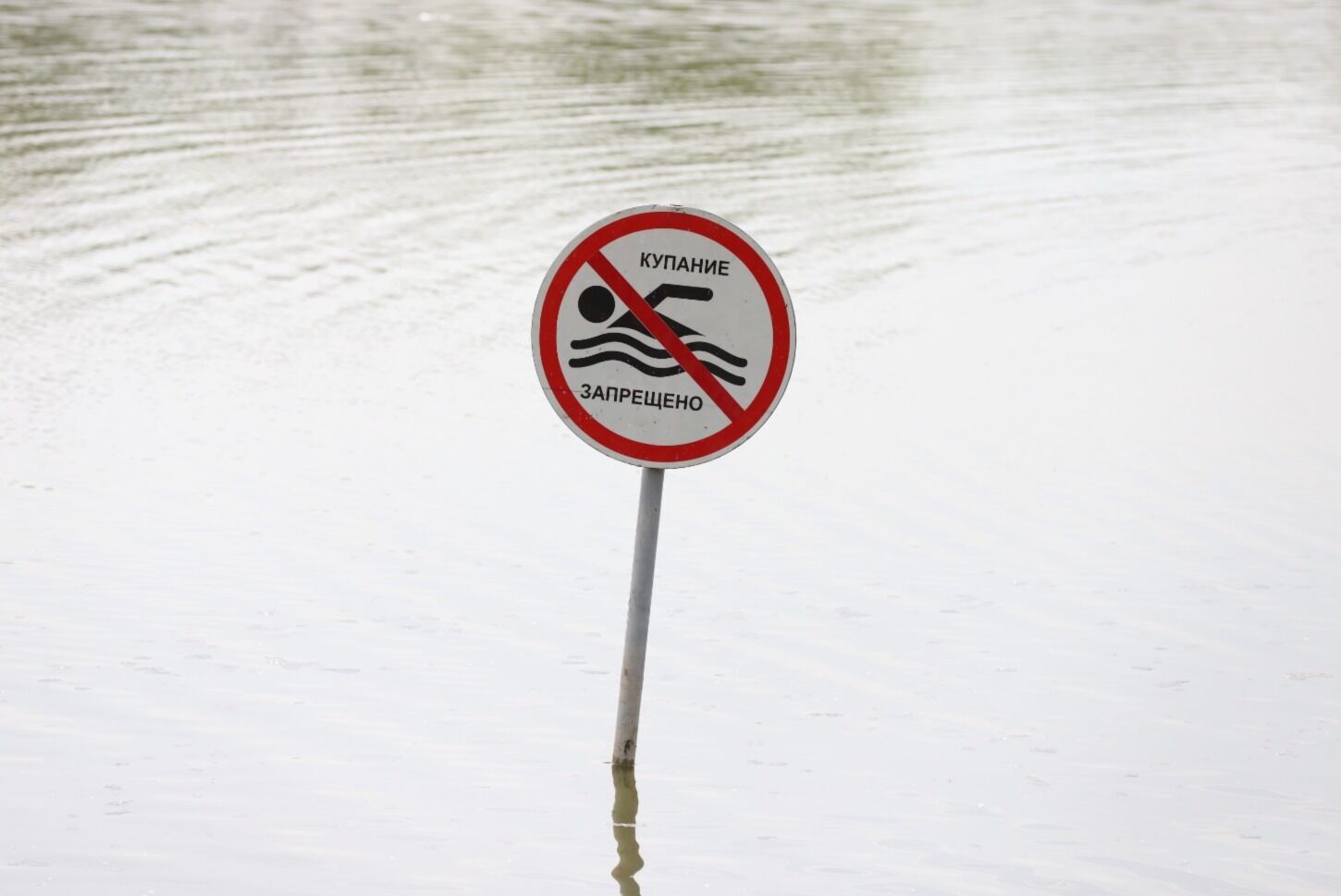 Плывите отсюда