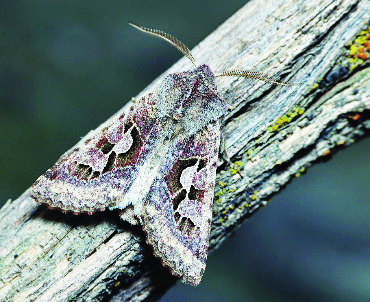 Мы спим, а они работают