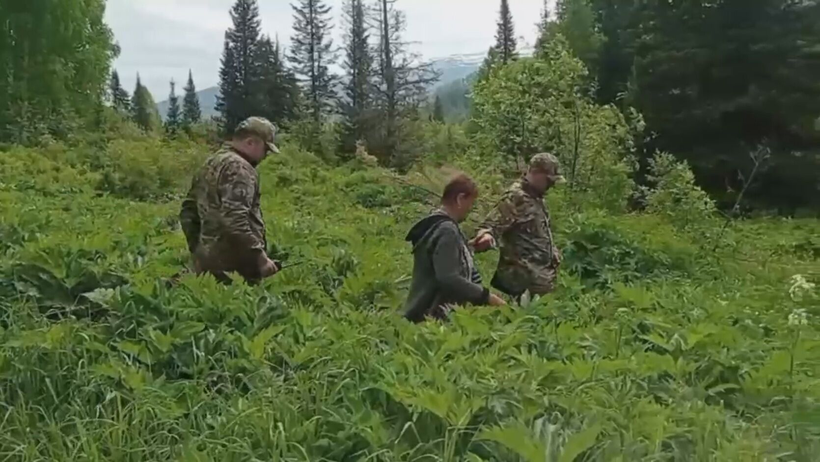 Из года в год