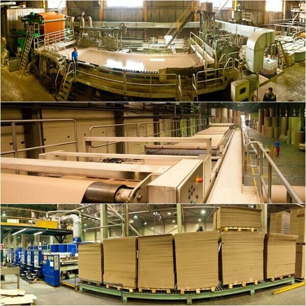 Крупнейший в стране завод по переработке макулатуры построят в Алматы