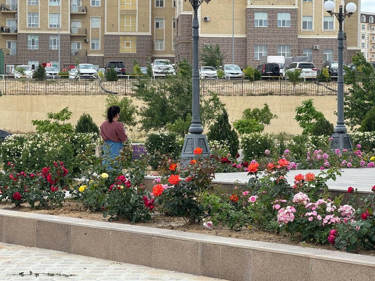 Подрядчик, зри в корень!