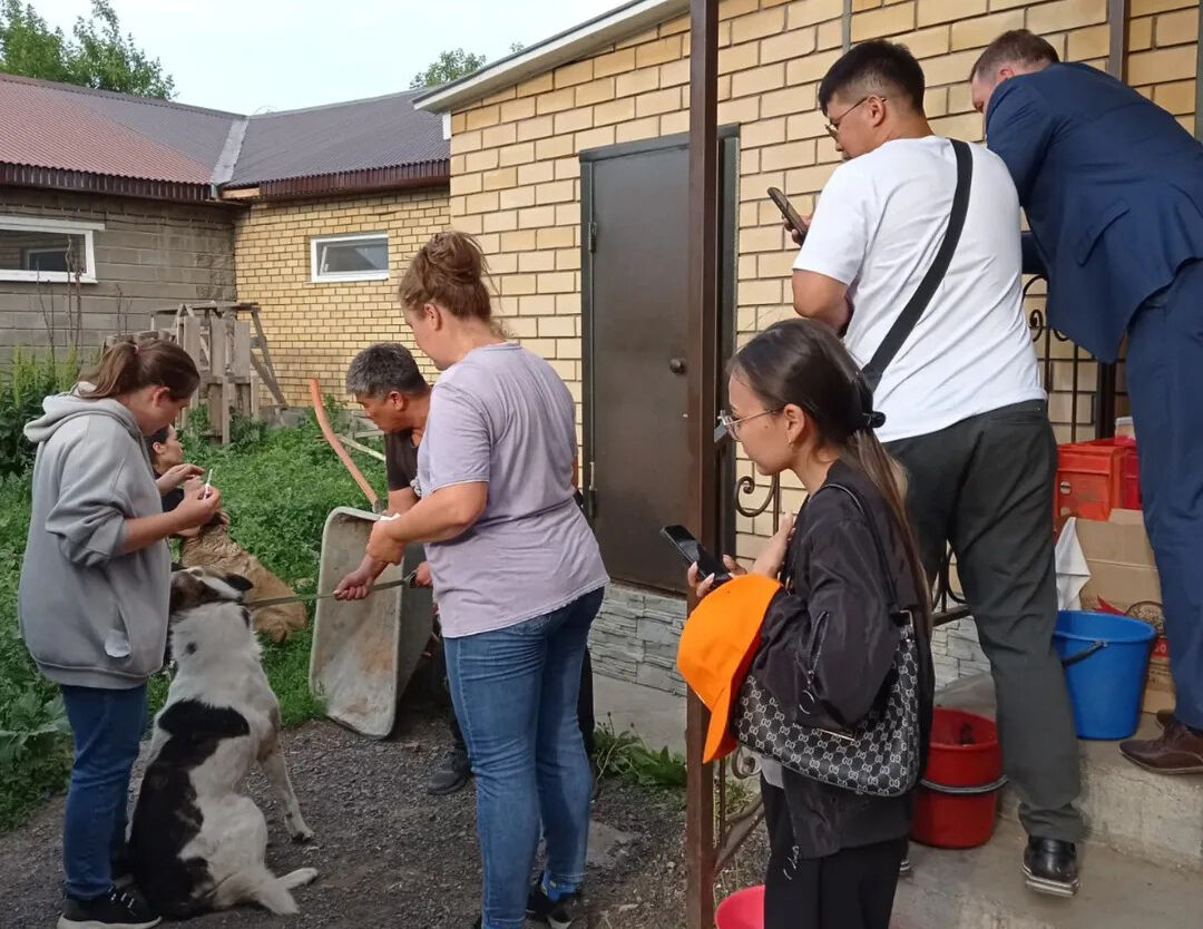 Сами с усами