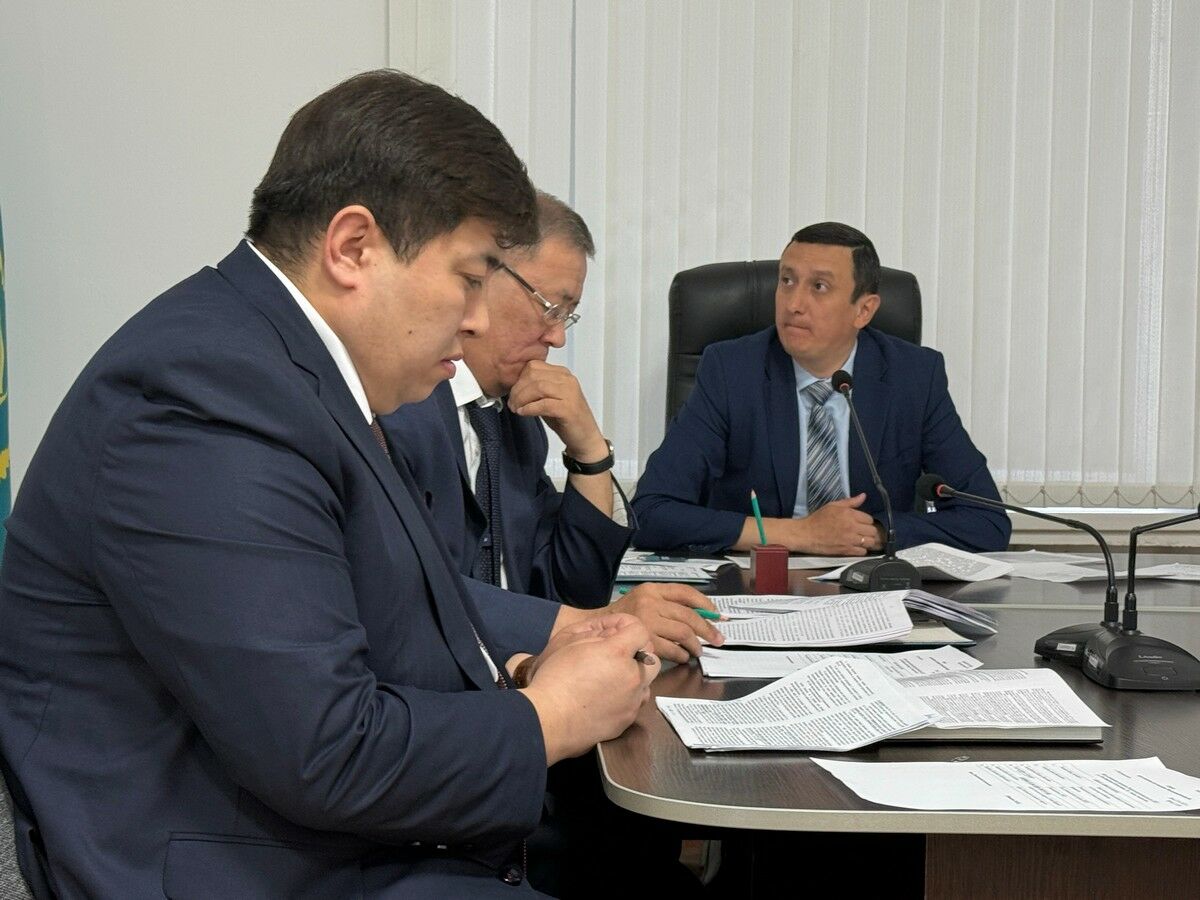 Полтора землекопа