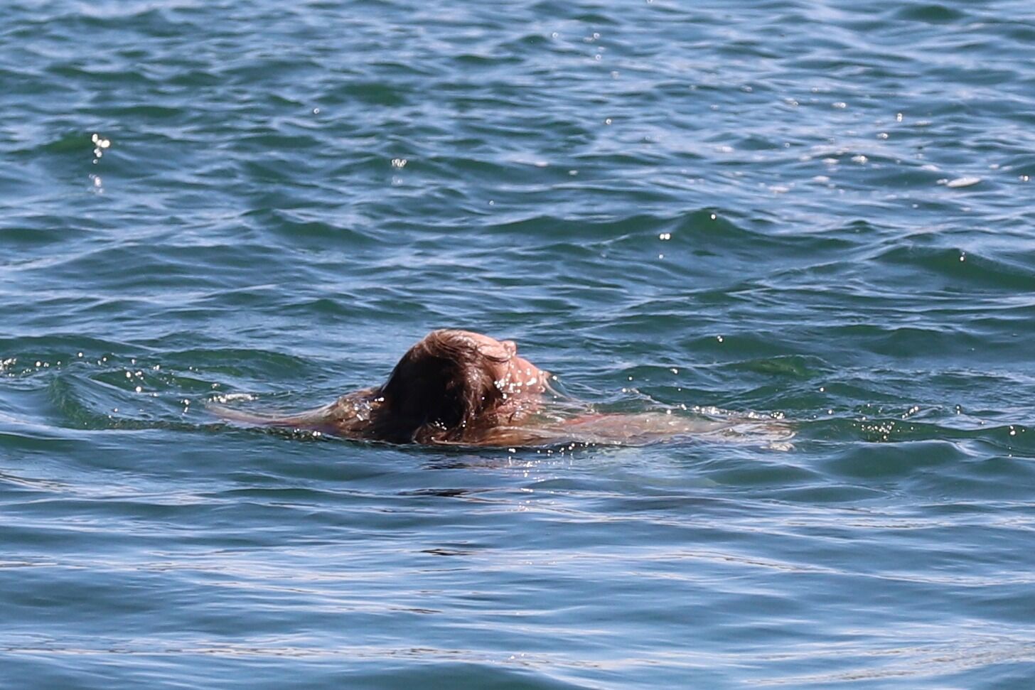 Сами виноваты?