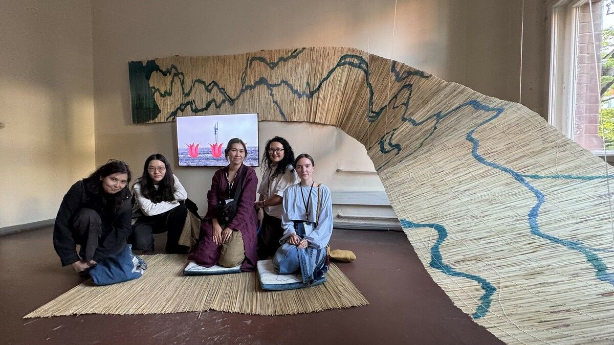 Войлок и видео