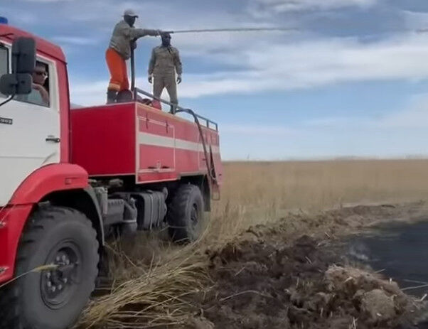 Почему резерват так часто горит?