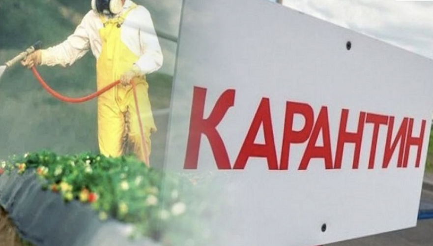 Бектенов о карантине растений на границе: Резкое усиление санкций может сказаться негативно