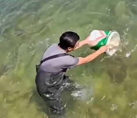 Плывите  и живите