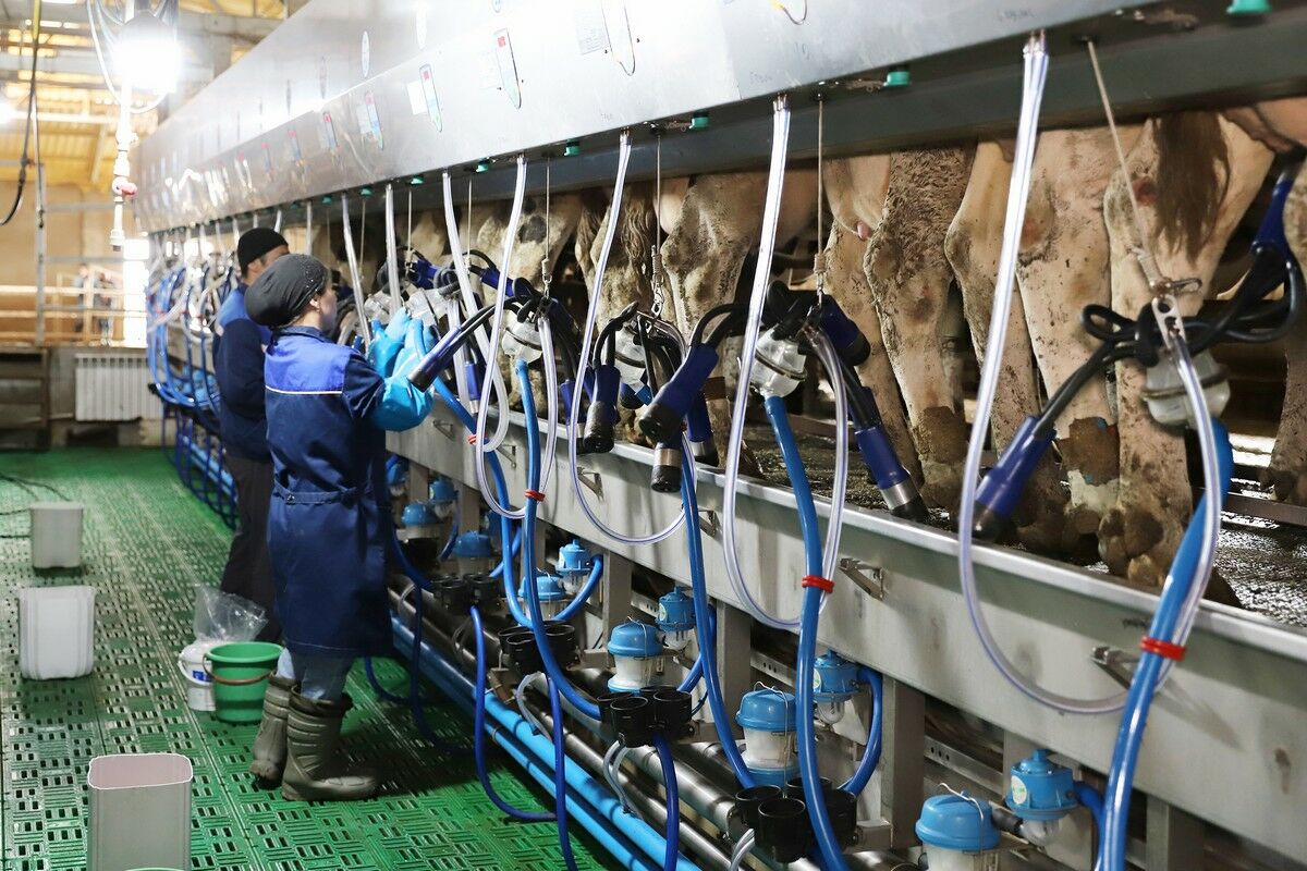 Объекты особого внимания