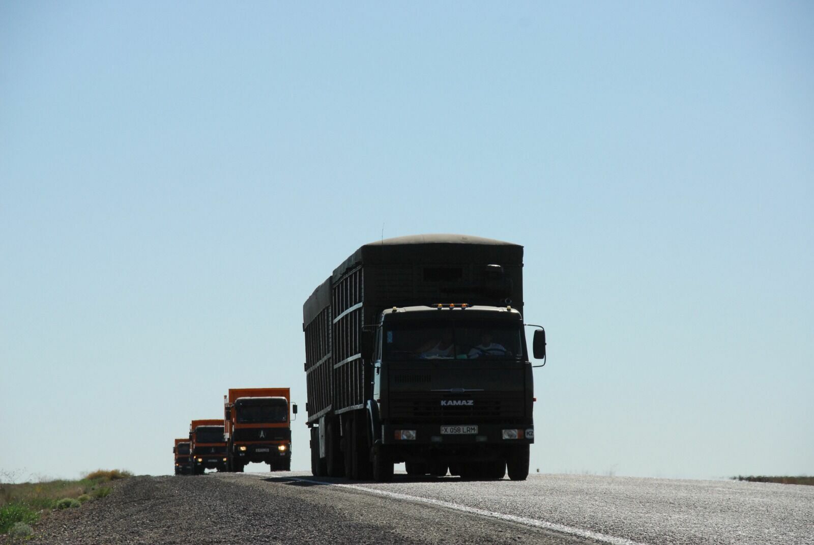 Какие запреты на импорт растительной продукции действуют в Казахстане