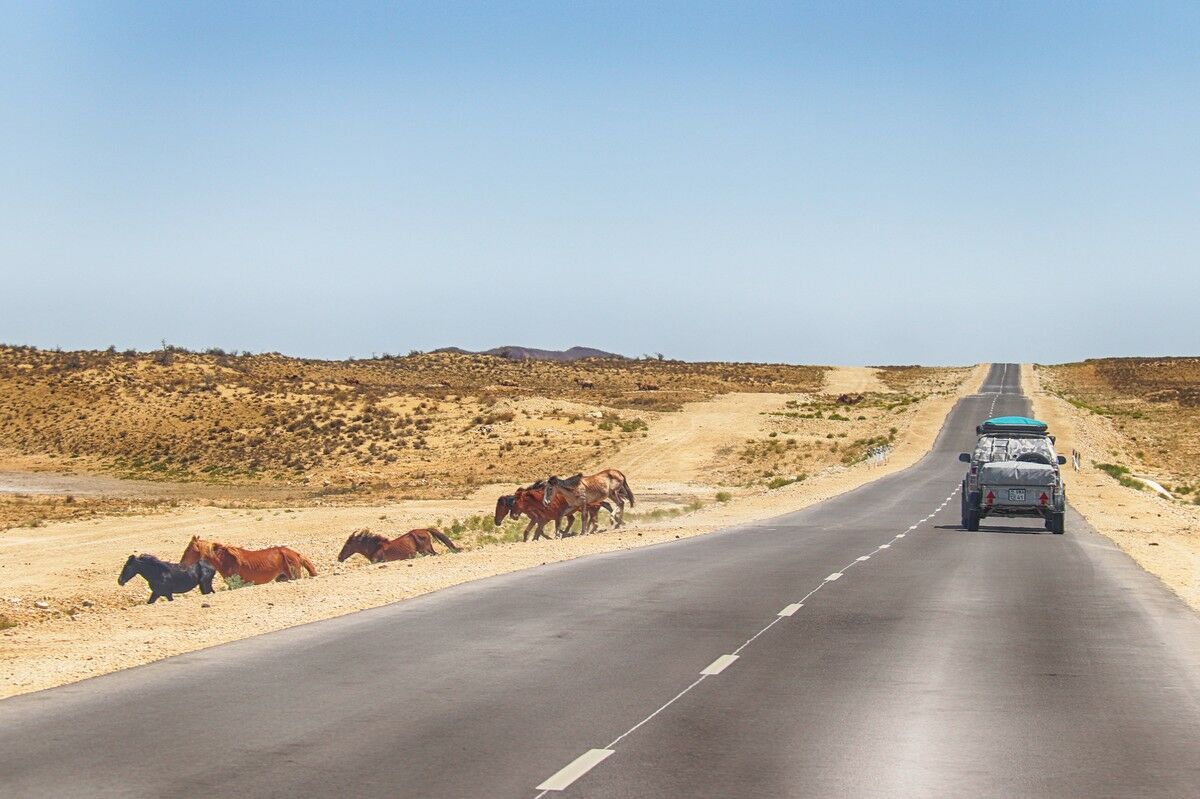 В сухом достатке