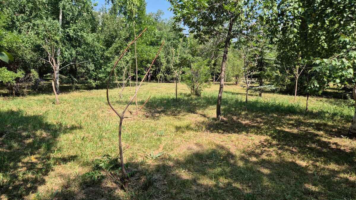 Заморить, а потом застроить?