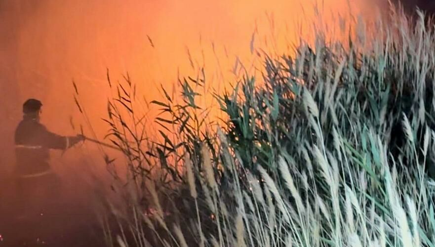 Пожар в резервате «Акжайык» удалось потушить лишь через 10 дней