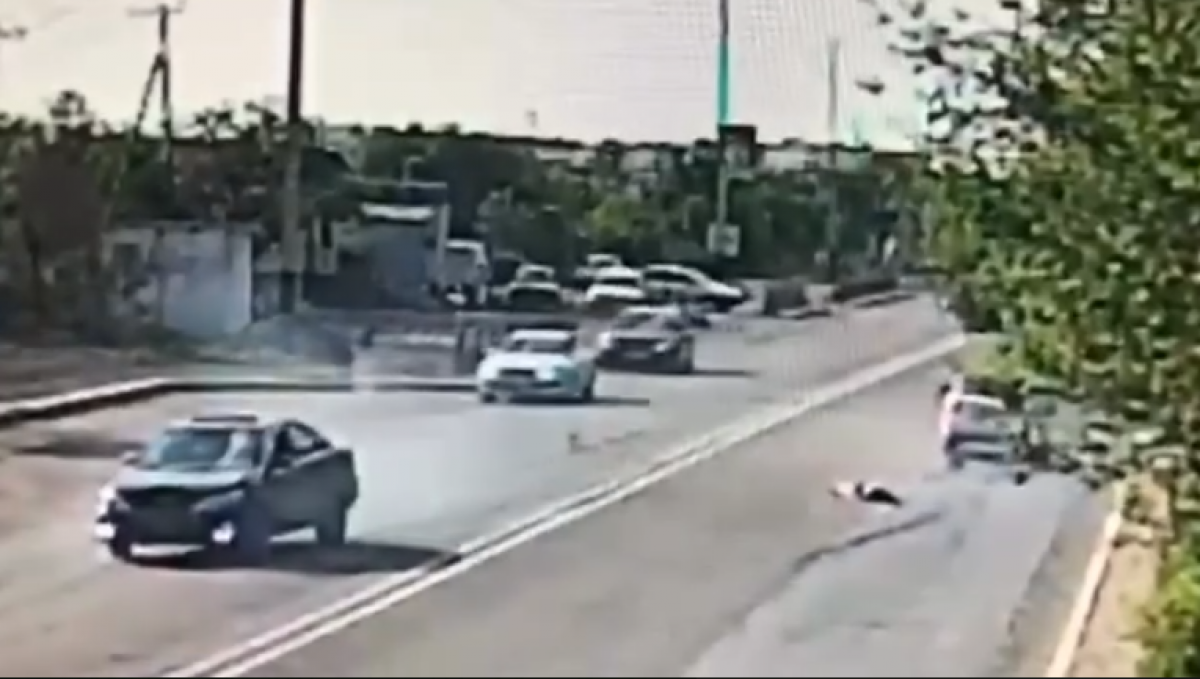 Жизнь за зебру