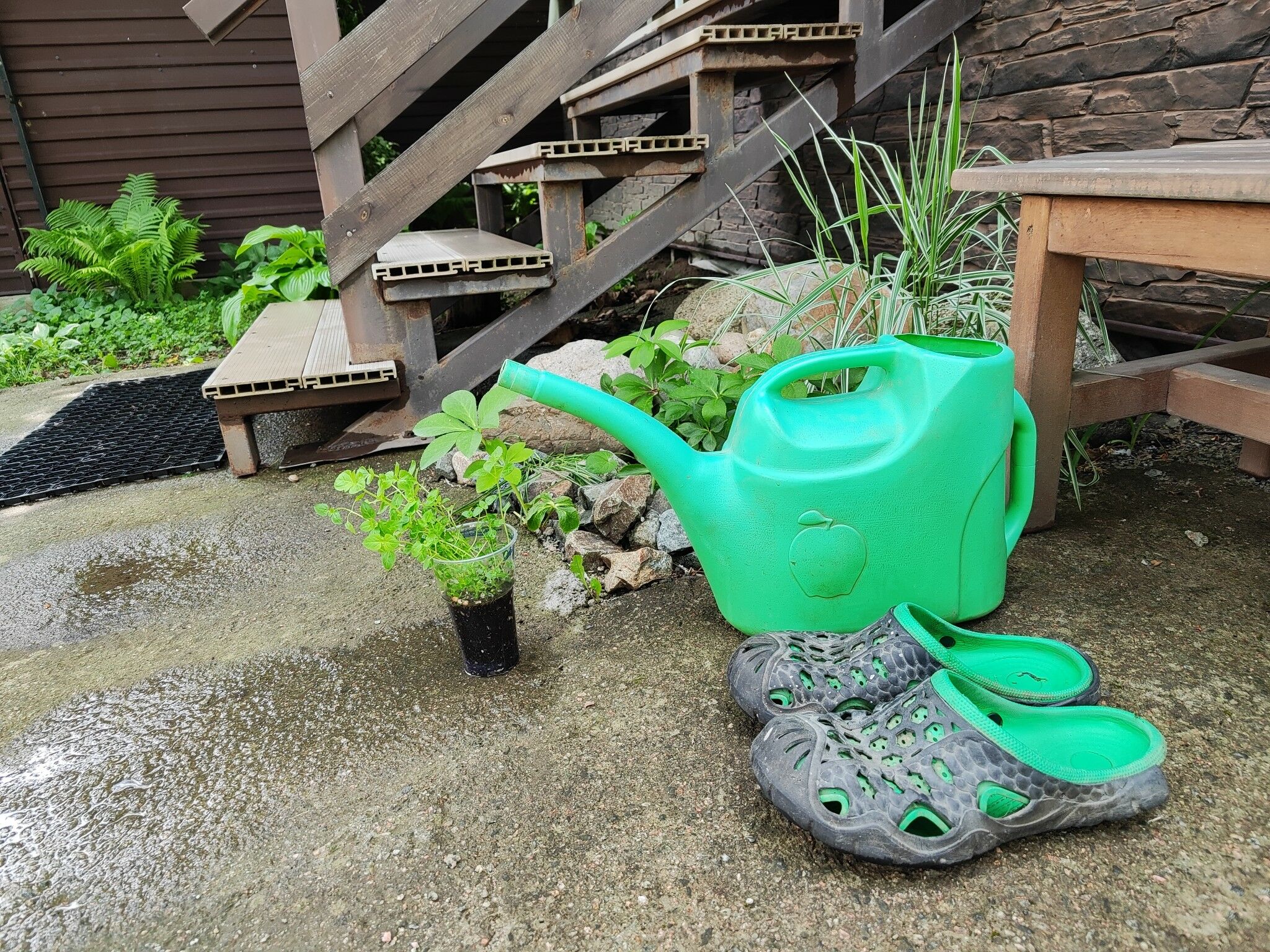 У дачников отбирать дачи не будут!