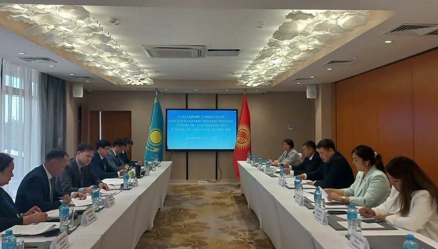 Пилотная сельхозярмарка Кыргызстана пройдет в Астане - минсельхоз