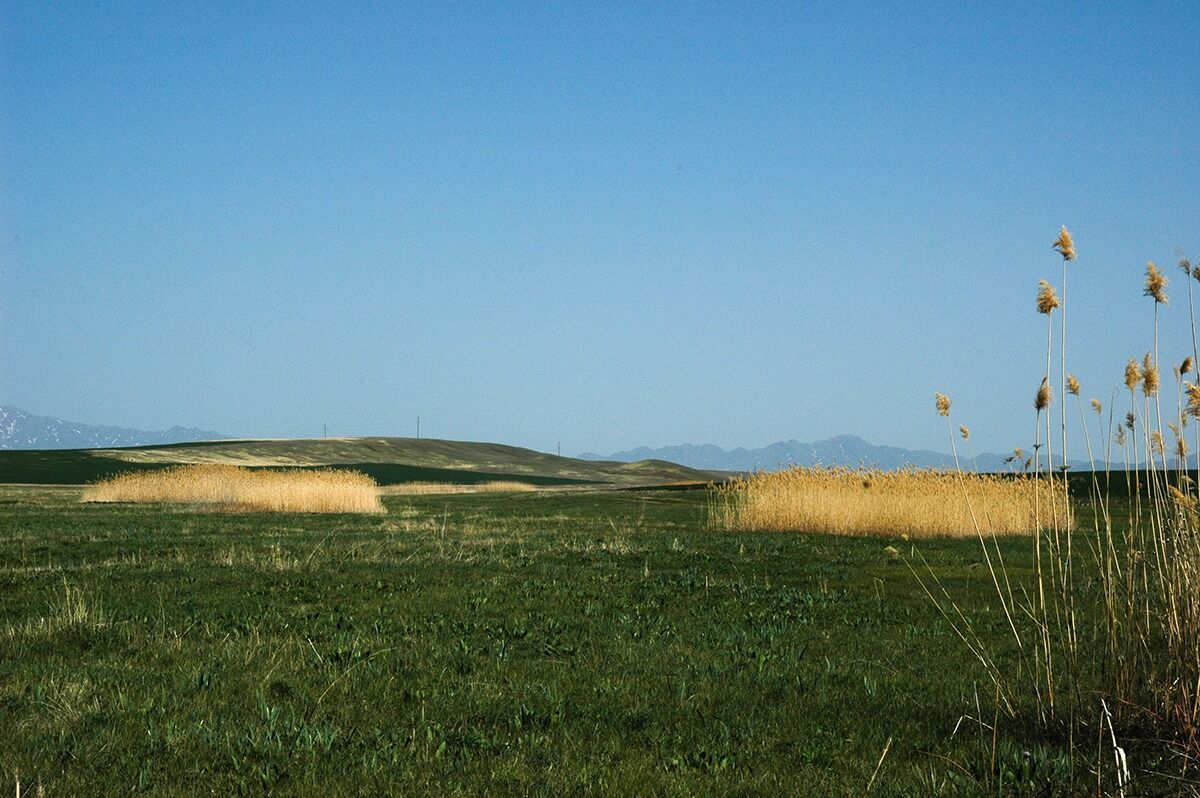 Сами верните!