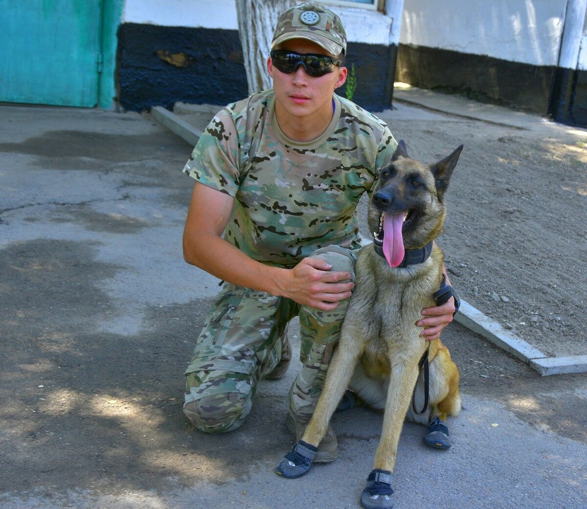 Мокрый нос на страже безопасности