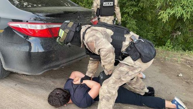 Волки в овечьей шкуре