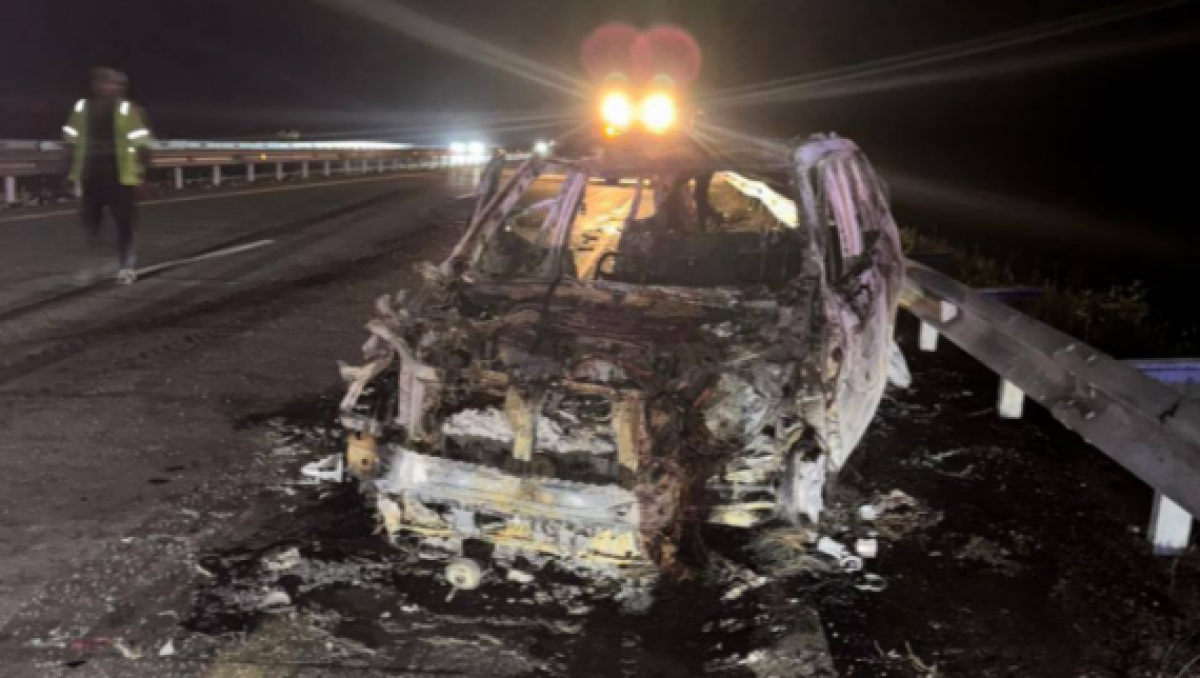 По вине животного