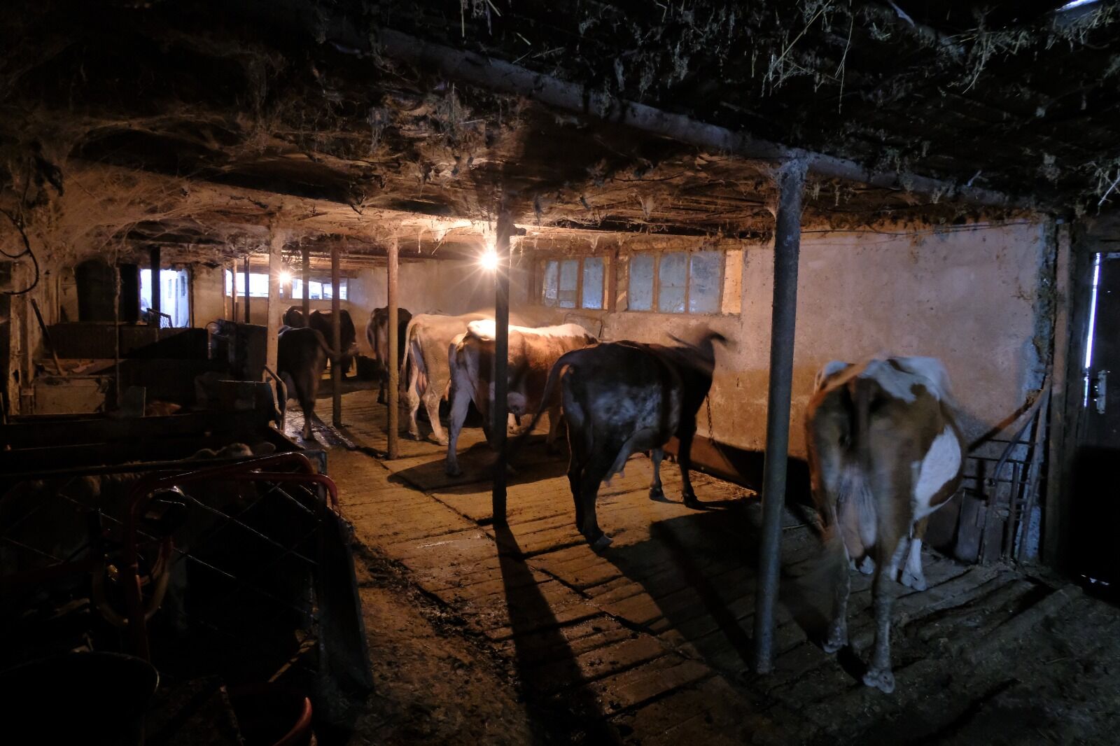 Почти фифти-фифти